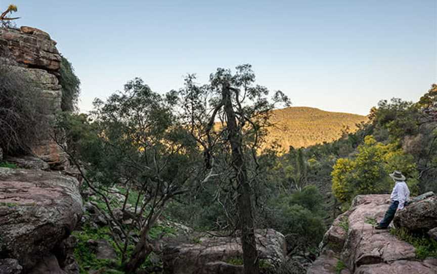 Cocoparra National Park, Yenda, NSW