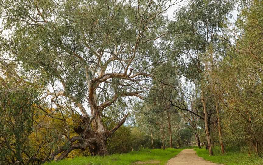 Crossing Place Trail, Gateway Island, VIC