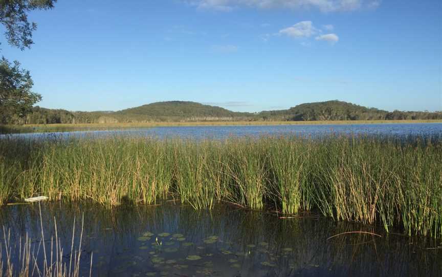 Cudgen Nature Reserve, Bogangar, NSW