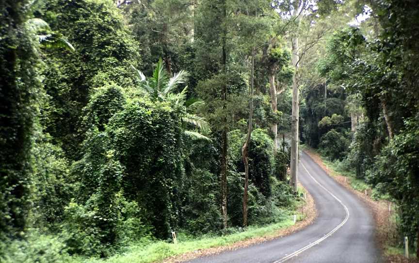 D'Aguilar National Park, Mount Byron, QLD