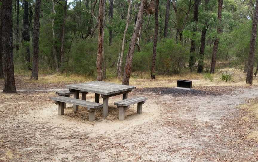 Distillery Creek Picnic Ground, Aireys Inlet, VIC