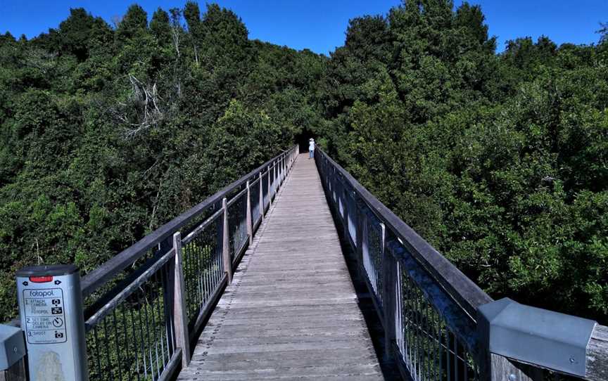 Dorrigo Rainforest Centre, Dorrigo Mountain, NSW