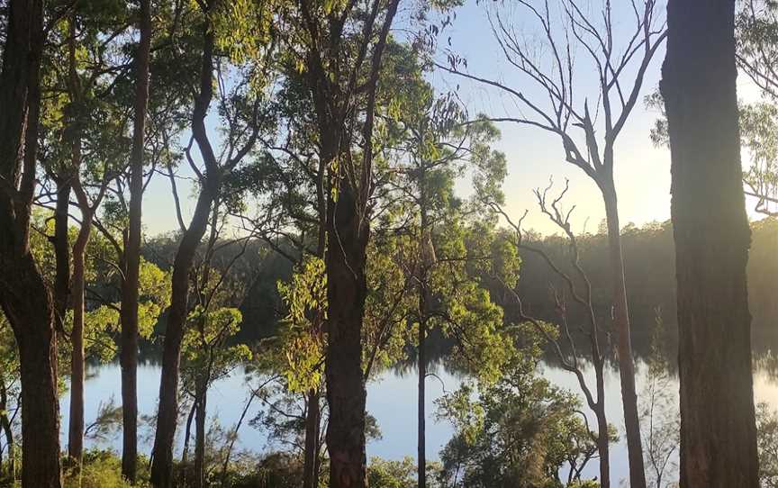 Double Wharf picnic area, Limeburners Creek, NSW