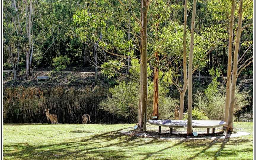 Eurobodalla Regional Botanic Garden, Batemans Bay, NSW