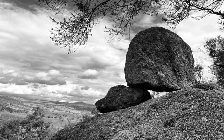 Evans Crown Nature Reserve, Tarana, NSW