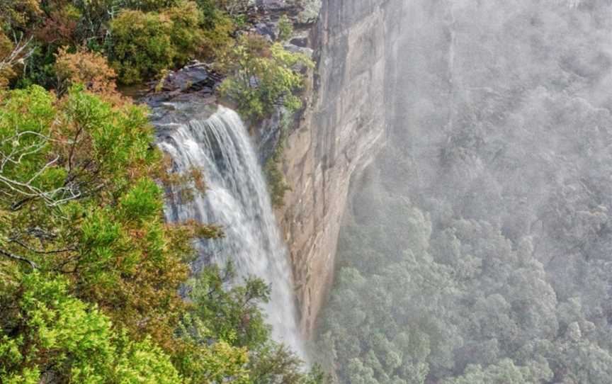 Fitzroy Falls, Nature & Trails in Fitzroy Falls