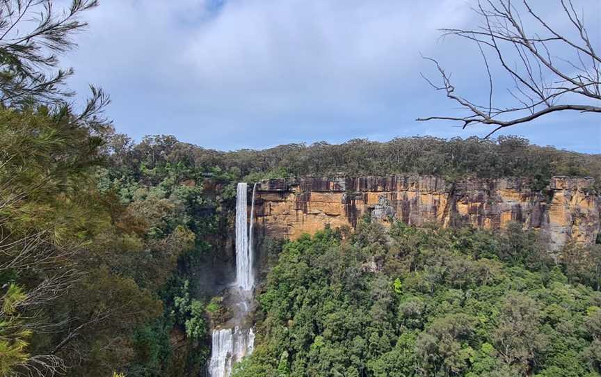 Fitzroy Falls picnic area, Fitzroy Falls, NSW