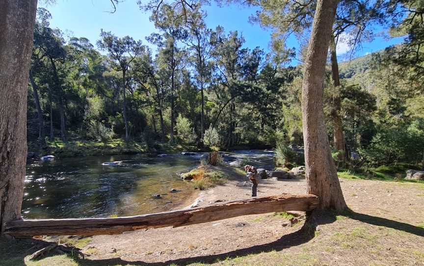 Flea Creek picnic area, Uriarra, NSW