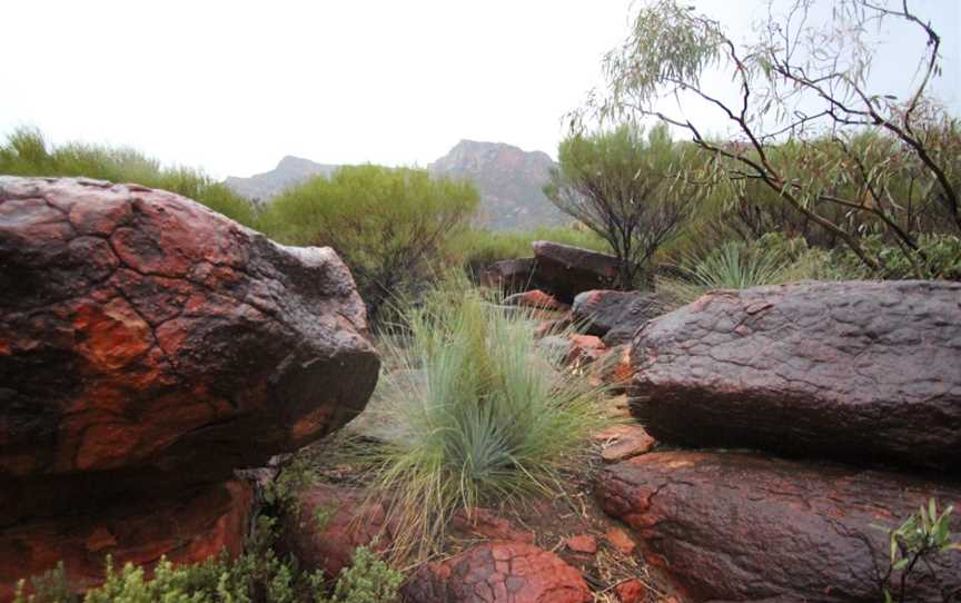 Flinders Ranges Self Drive Loop, Quorn, SA