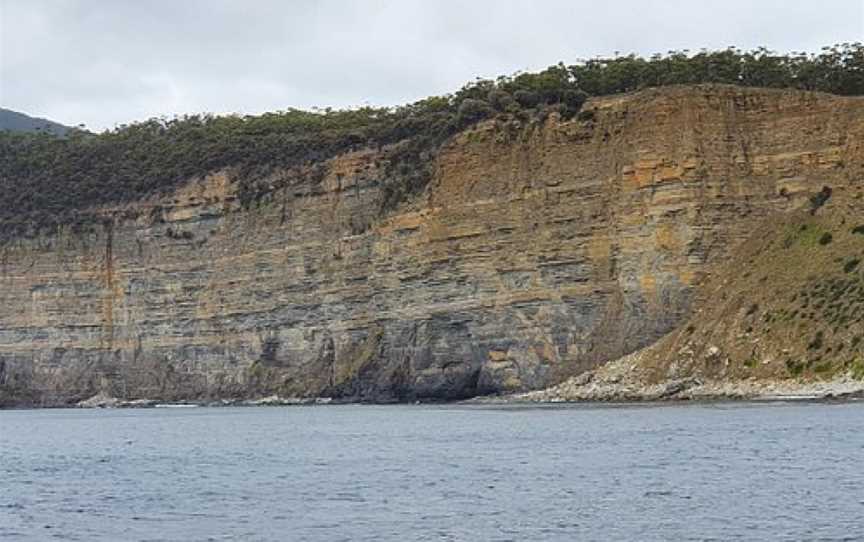 Fossil Cliffs, Triabunna, TAS