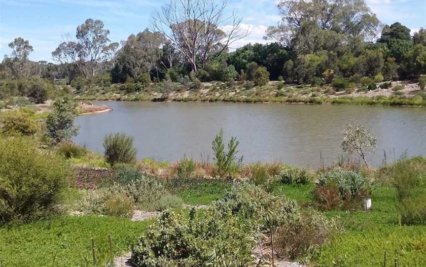 Gleeson Wetlands, Clare, SA