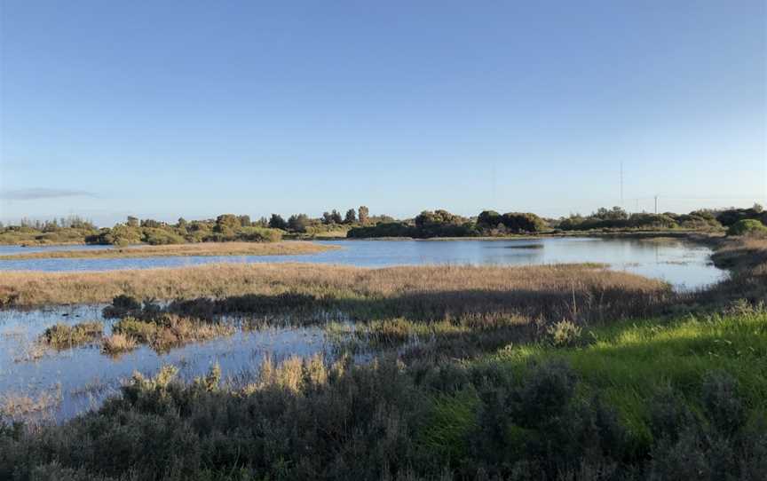 Greenfields Wetlands, Dry Creek, SA