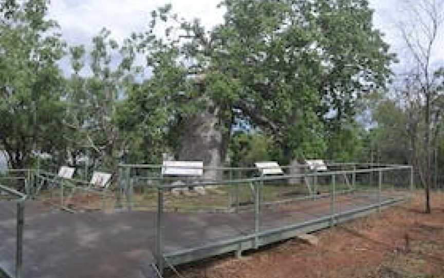 Gregory’s Tree, Timber Creek, NT