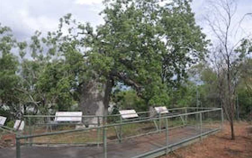 Gregory’s Tree, Timber Creek, Gregory, NT