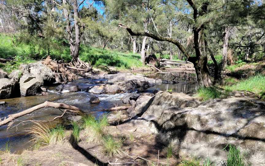 Historic Water Race Walking Track, Ophir, NSW