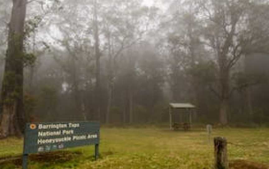Honeysuckle picnic area, Barrington Tops, NSW