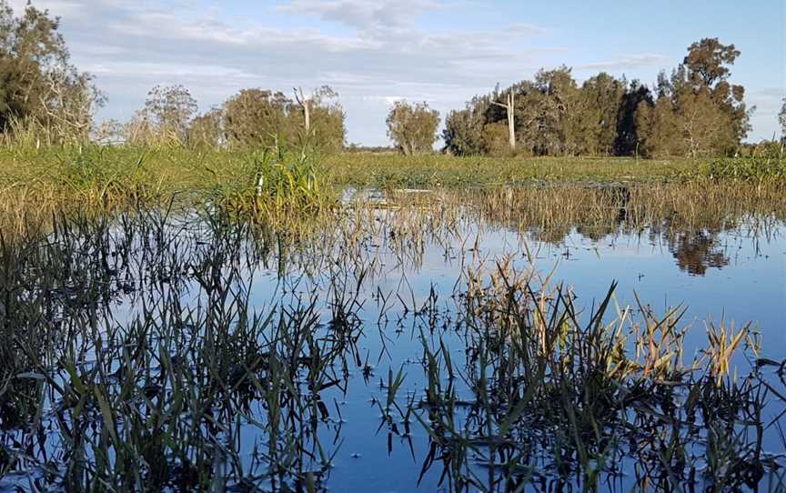 Hunter Wetlands National Park, Tomago, NSW