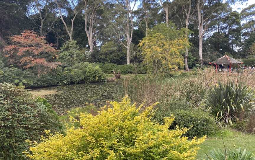 Illawarra Rhododendron Garden, Mount Pleasant, NSW