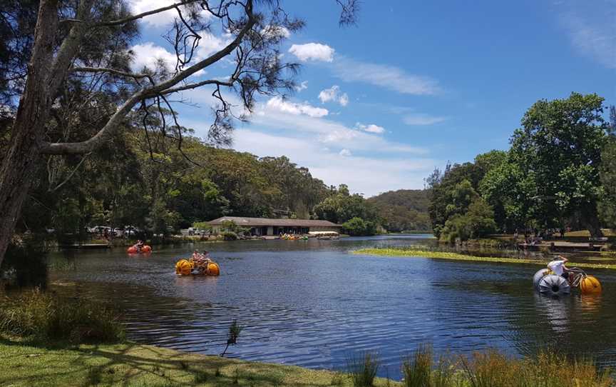 Ironbark Flat picnic area, Royal National Park, NSW