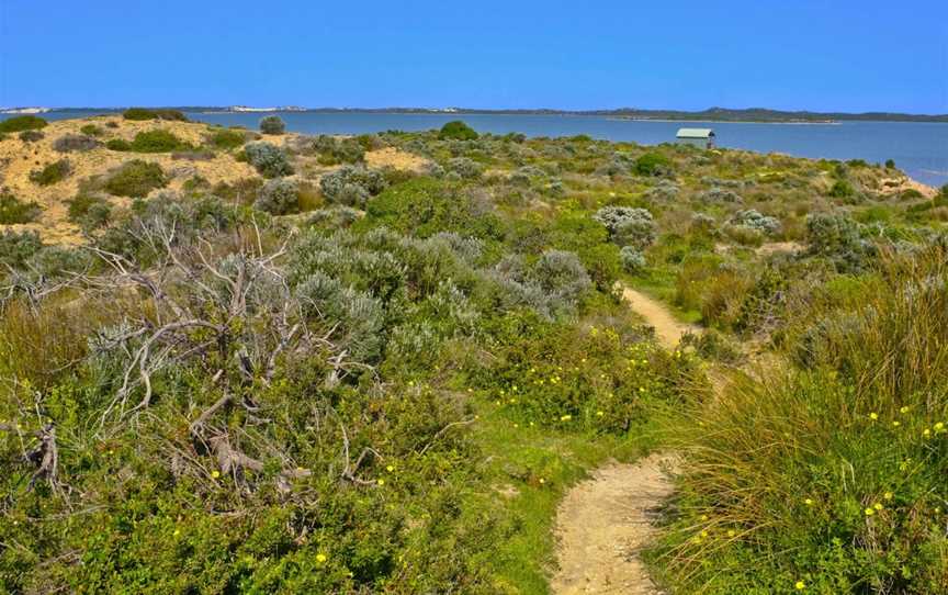 Jacks Point Observatory Deck, Coorong, SA