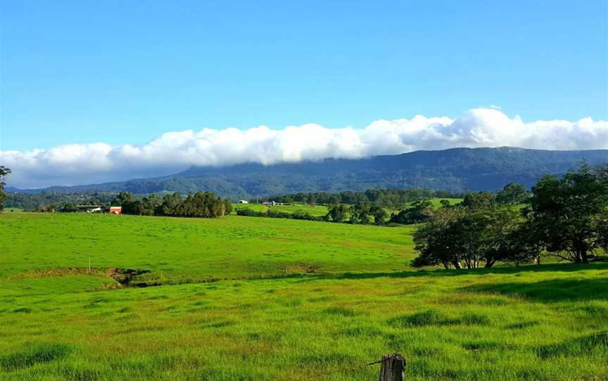 Jamberoo Mountain Road, Jamberoo, NSW