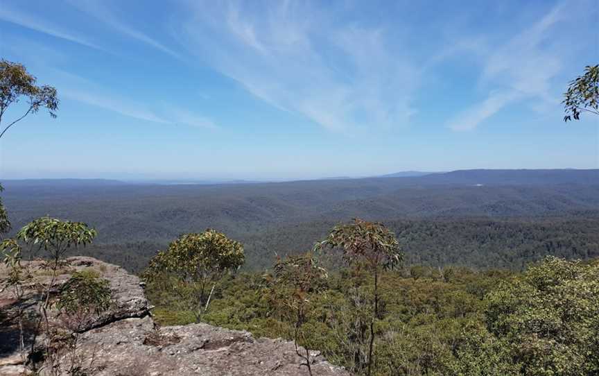 Jerrawangala National Park, Jerrawangala, NSW
