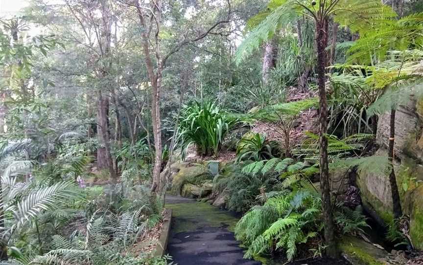 Joseph Banks Native Plants Reserve, Kirrawee, NSW