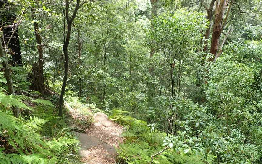 Kellys Falls picnic area, Stanwell Tops, NSW