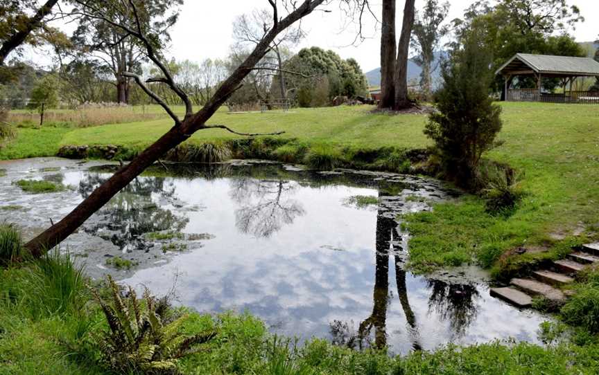 Kimberley Warm Springs, Kimberley, TAS