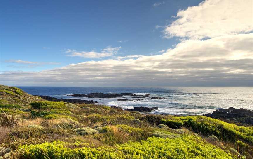 King Island, Loorana, TAS