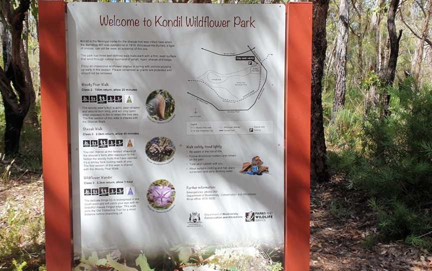Kondil Park Recreation Area, Barrabup, WA