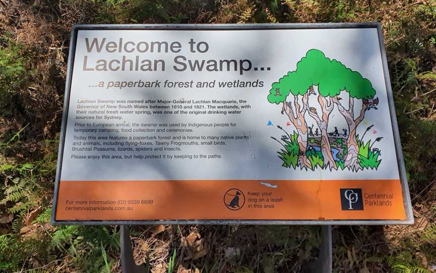 Lachlan Swamp, Centennial Park, NSW