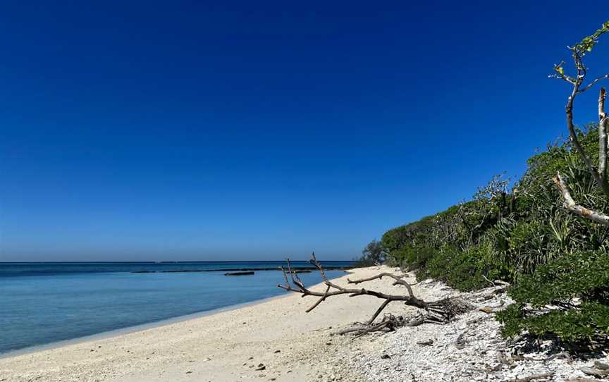Lady Musgrave Island, Lady Musgrave Island, QLD
