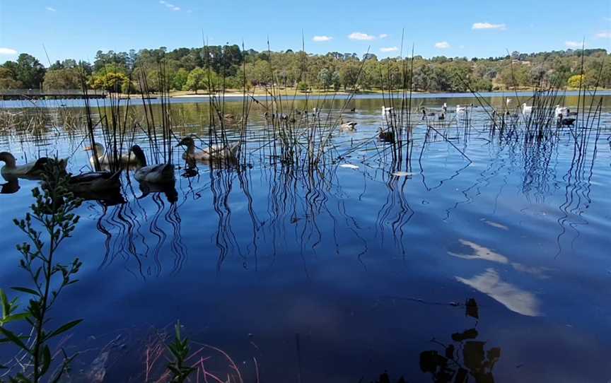 Lake Canobolas, Nashdale, NSW