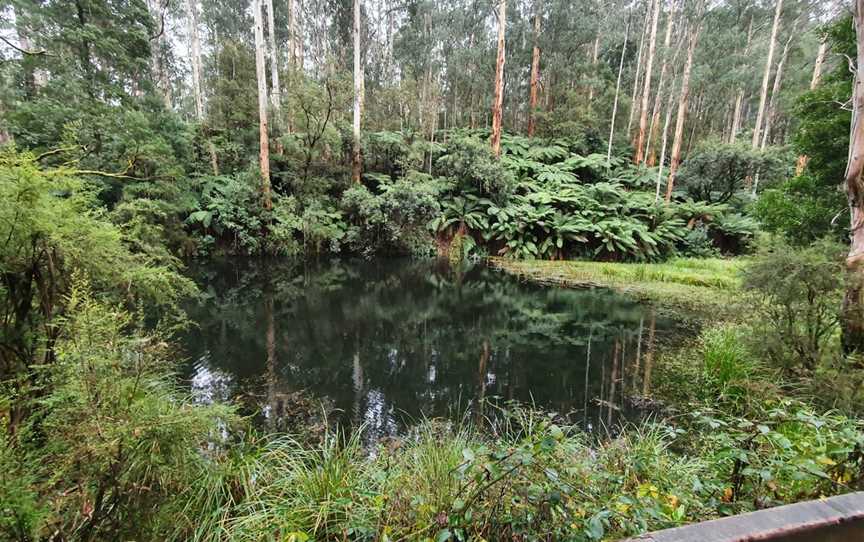 Lake Elizabeth, Forrest, VIC