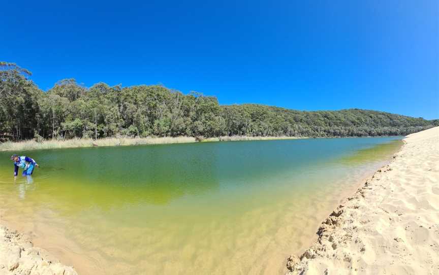 Lake Wabby, Fraser Island, QLD
