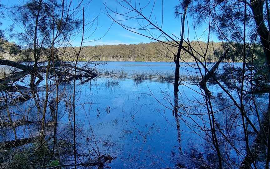 Lake walking track, Durras North, NSW