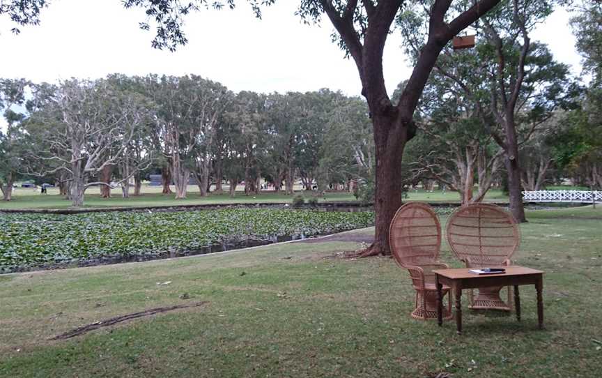 Lily Pond, Centennial Park, NSW