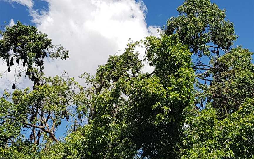 Lissner Park, Charters Towers City, QLD