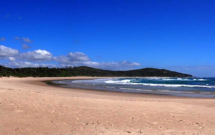 Little Shelley, Yuraygir, NSW