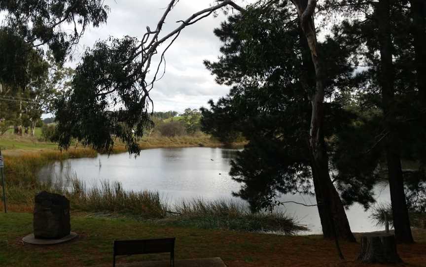 Lobethal Bushland Park, Lobethal, SA