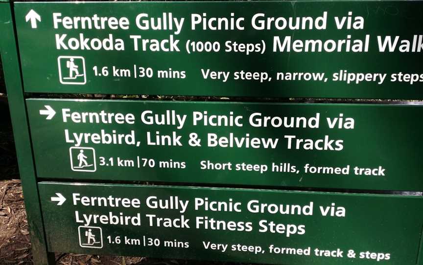 Lyrebird Track, Tremont, VIC