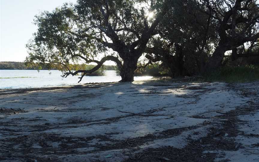 Malkumba-Coongie Lakes National Park, Innamincka, SA