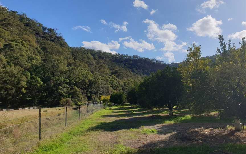 Marramarra National Park, Canoelands, NSW