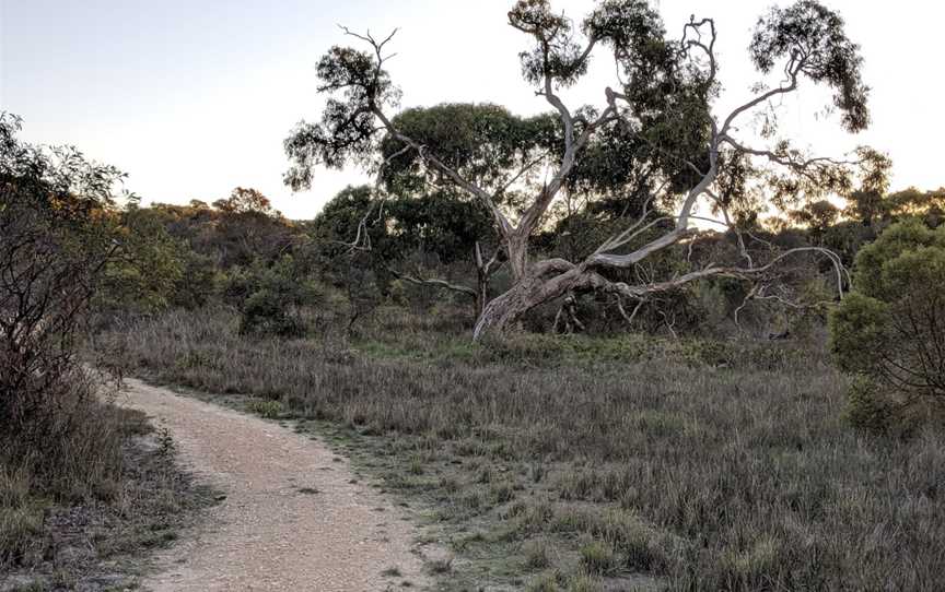 Meningie Lions Walking Trail, Meningie, SA