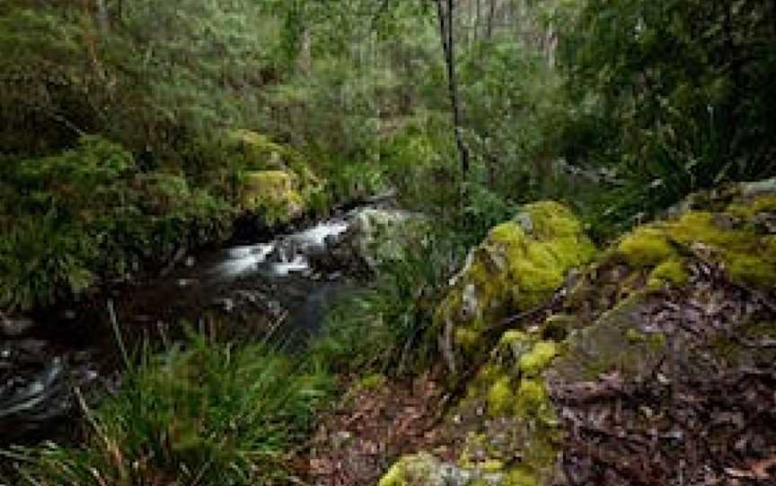 Mongarlowe River picnic area, Monga, NSW