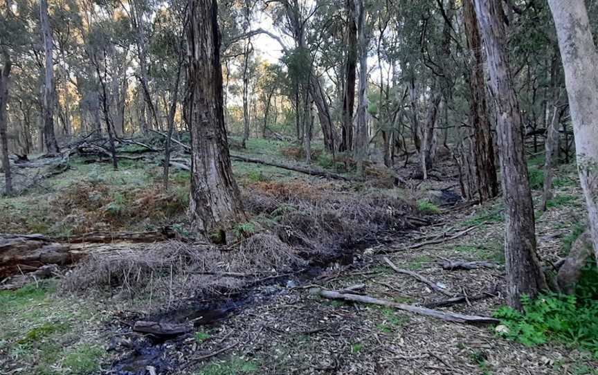 Moolarben picnic area, Munghorn, NSW