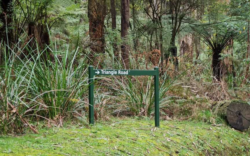 Mortimer Picnic Ground, Gembrook, VIC