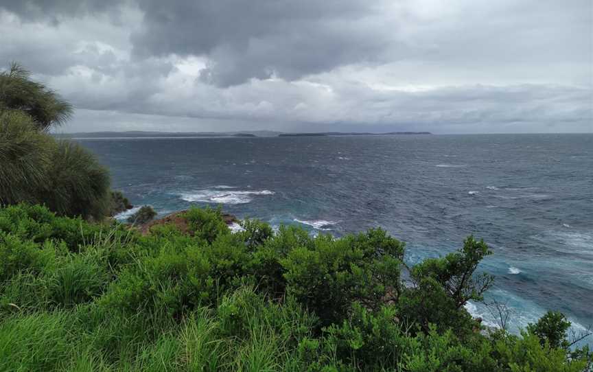 Moruya Kayaking Trail - West, Moruya, NSW