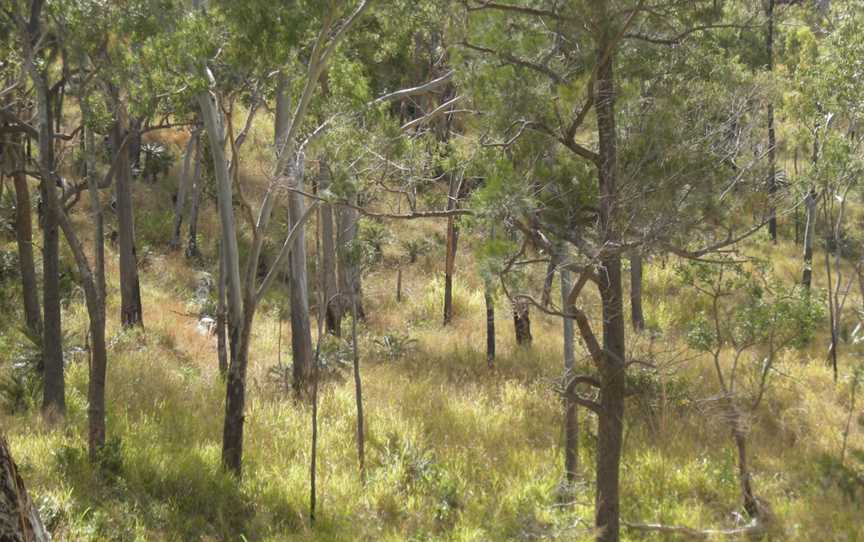 Mount Archer National Park, Mount Archer, QLD